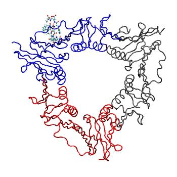 Structure preview of MDBind 6drt 2