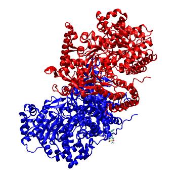 Structure preview of MDBind 8gpb 3