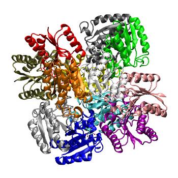 Structure preview of MDBind 3n8k 1
