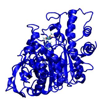 Structure preview of MDBind 5nap 1