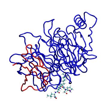 Structure preview of MDBind 5ttw 1
