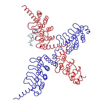 Structure preview of MDBind 6cf6 1