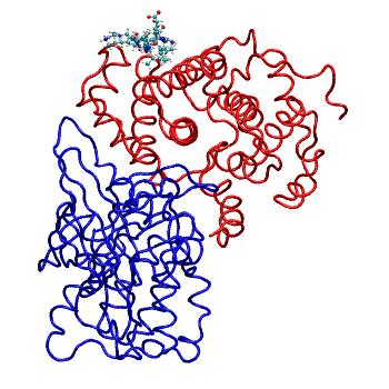 Structure preview of MDBind 1h24 2