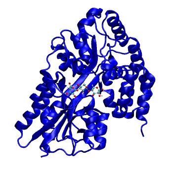 Structure preview of MDBind 4c1u 1