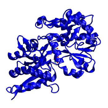 Structure preview of MDBind 4ua8 1