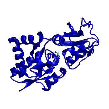 Structure preview of MDBind 4ymx 1