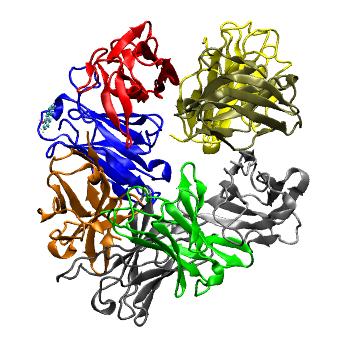 Structure preview of MDBind 2bjm 2