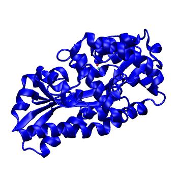 Structure preview of MDBind 3fxb 2