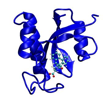 Structure preview of MDBind 3jyj 2