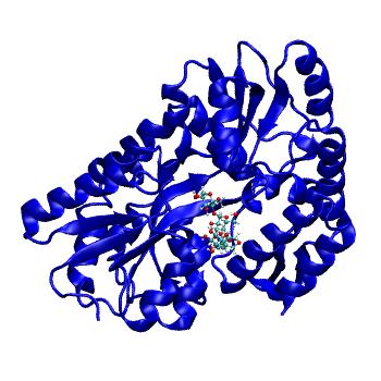 Structure preview of MDBind 3jyr 2