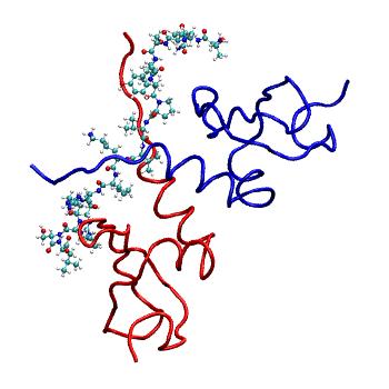 Structure preview of MDBind 3q6s 2