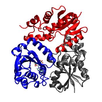 Structure preview of MDBind 3x1k 2