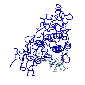Structure preview of MDBind 4fmq 1