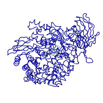 Structure preview of MDBind 4fys 1