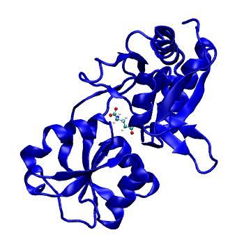Structure preview of MDBind 4kqp 1