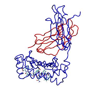 Structure preview of MDBind 4pgc 1