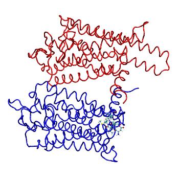 Structure preview of MDBind 4pxf 1