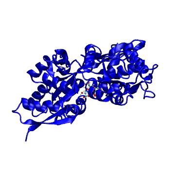 Structure preview of MDBind 4ua8 2