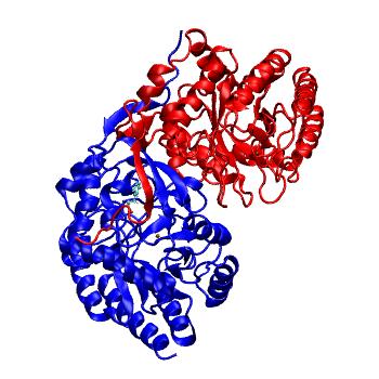Structure preview of MDBind 4uc5 1