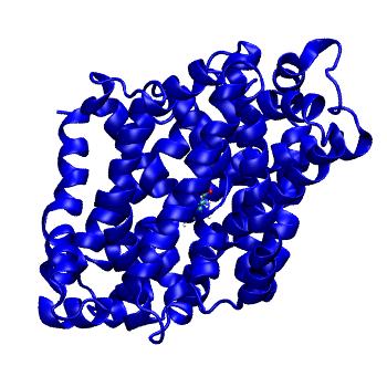 Structure preview of MDBind 4us4 1
