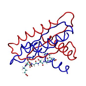 Structure preview of MDBind 4ynl 1