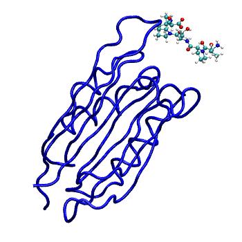 Structure preview of MDBind 5ggp 1