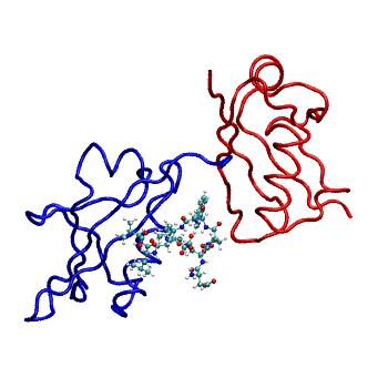 Structure preview of MDBind 5hkh 1