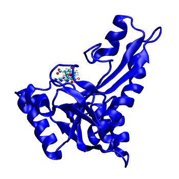 Structure preview of MDBind 5j9f 1