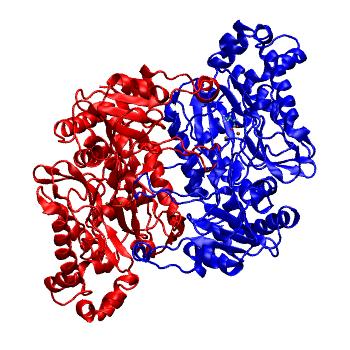 Structure preview of MDBind 5m4q 1