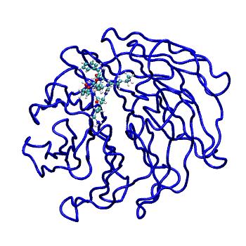 Structure preview of MDBind 4j86 2