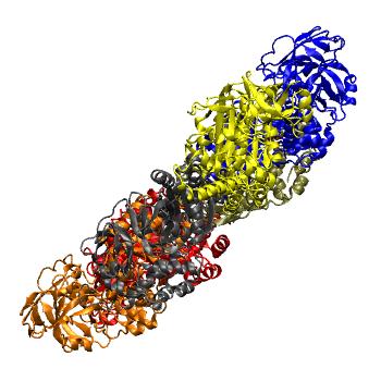Structure preview of MDBind 4kod 2