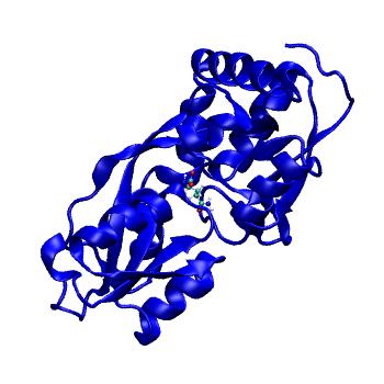 Structure preview of MDBind 4kqp 2