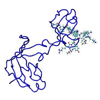 Structure preview of MDBind 4odl 2