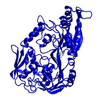 Structure preview of MDBind 4ofl 2