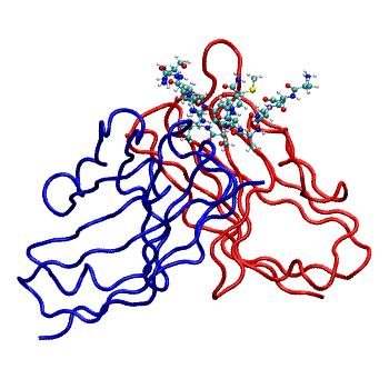 Structure preview of MDBind 4r3s 2
