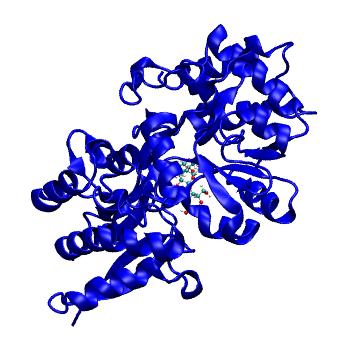 Structure preview of MDBind 4ua8 3