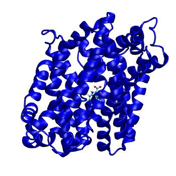 Structure preview of MDBind 4us4 2