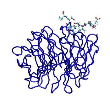 Structure preview of MDBind 4y7r 2