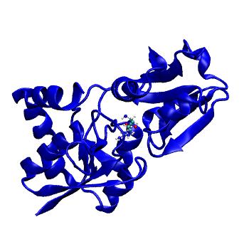 Structure preview of MDBind 4ymx 2