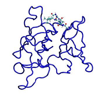 Structure preview of MDBind 5c0m 2