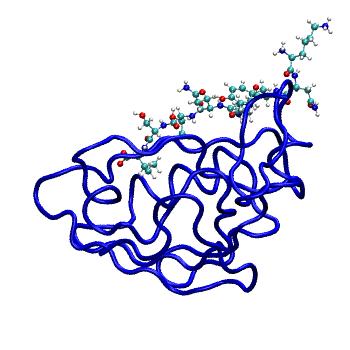 Structure preview of MDBind 5hey 2