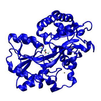 Structure preview of MDBind 5l9g 2