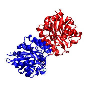 Structure preview of MDBind 6cvv 2