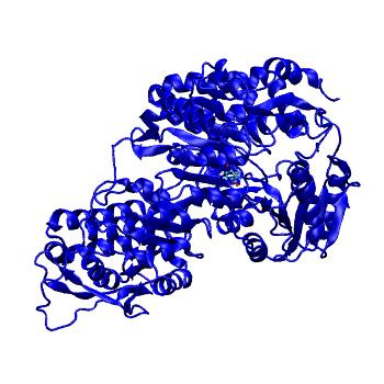 Structure preview of MDBind 6mvu 2