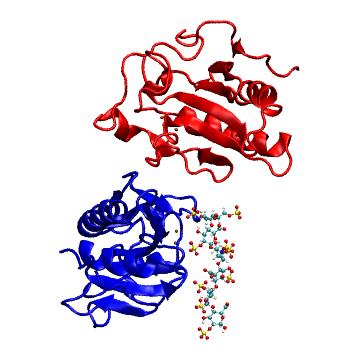 Structure preview of MDBind 4c4n 2