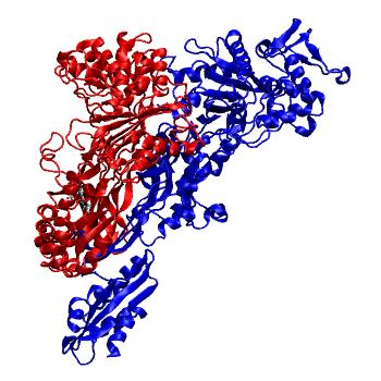 Structure preview of MDBind 4cjn 1