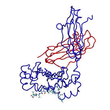 Structure preview of MDBind 4pgb 2