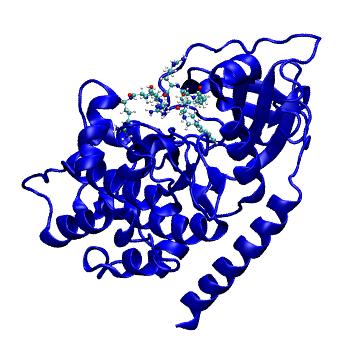 Structure preview of MDBind 5j5x 1