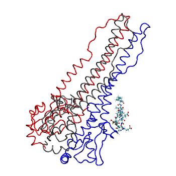 Structure preview of MDBind 5w5s 1