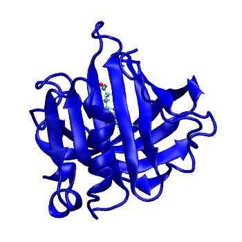 Structure preview of MDBind 6ghh 1